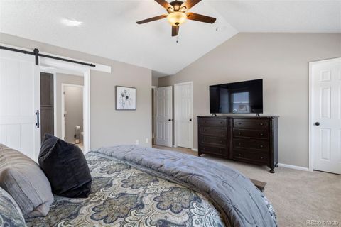 Single Family Residence in Highlands Ranch CO 9683 Bexley Drive 15.jpg