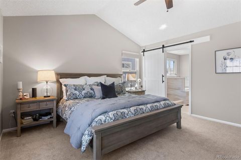 Single Family Residence in Highlands Ranch CO 9683 Bexley Drive 14.jpg