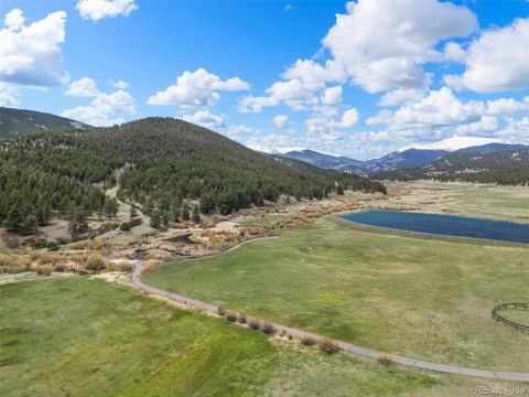 3763 County Road 43 Bailey CO 80421