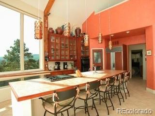 33247 Fishers Peak Parkway