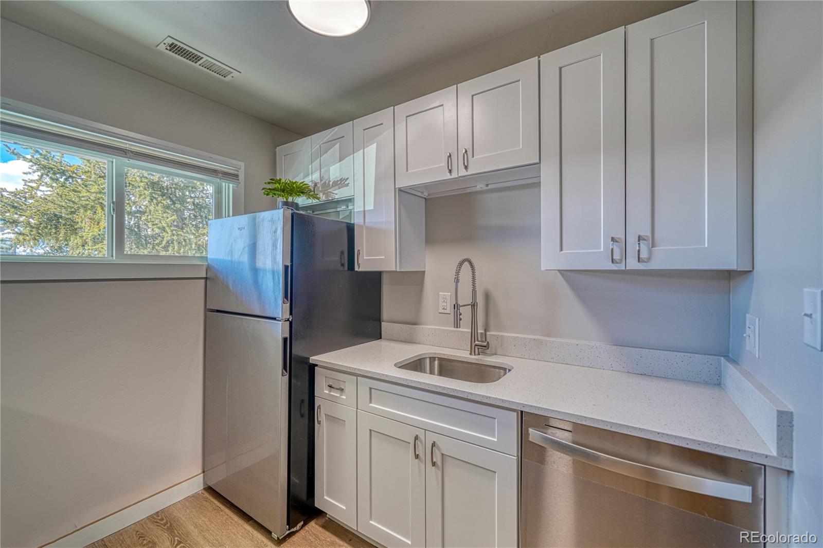 921 Mt Massive Drive 23