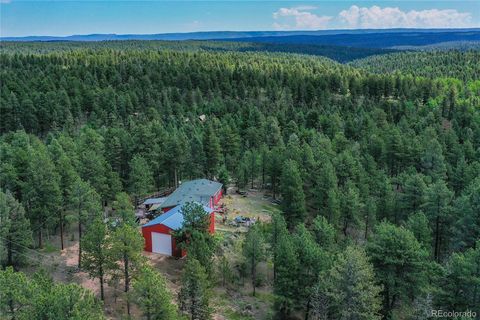 7666 County Road 51, Divide, CO 80814 - #: 9033076