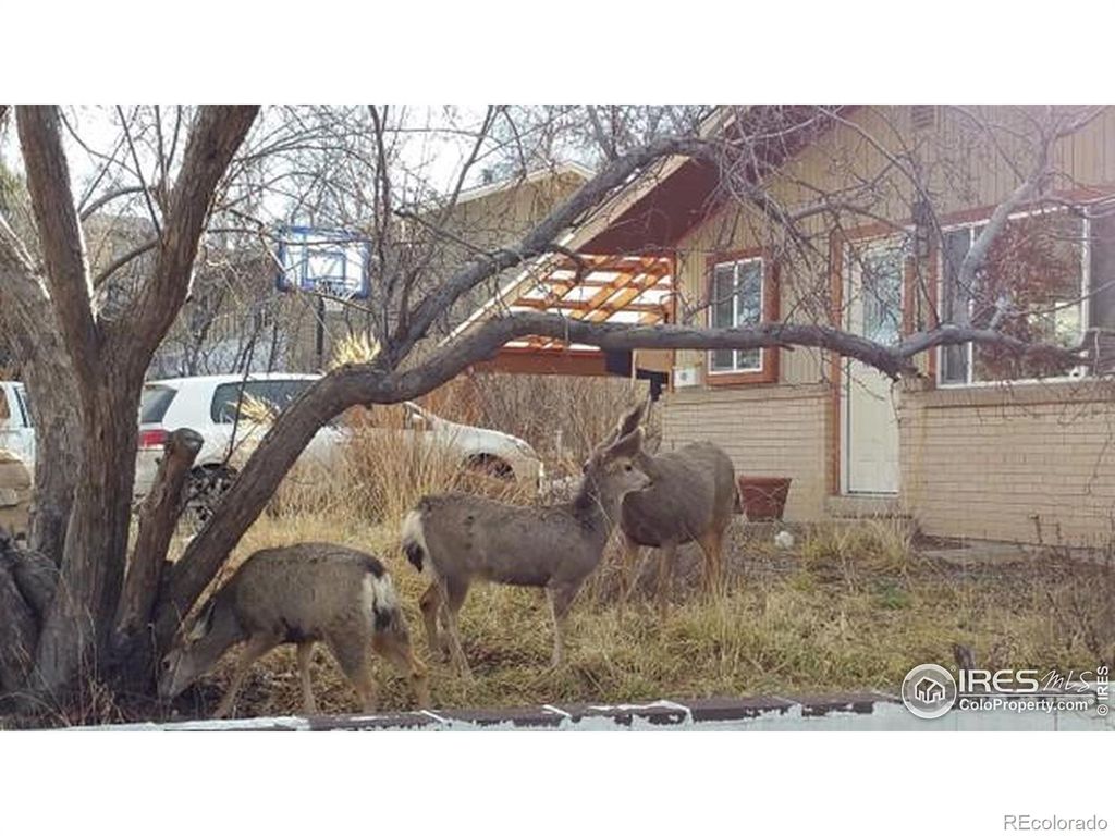 Photo of 725 34th Street, Boulder, CO 80303 (MLS # IR1045036)