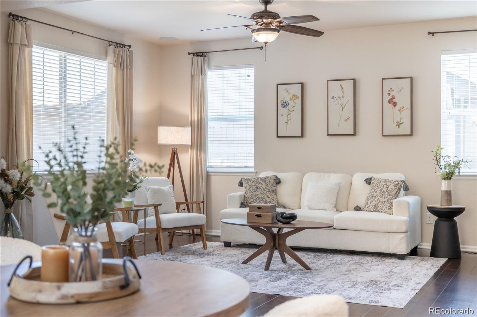 3793 Cadence Drive