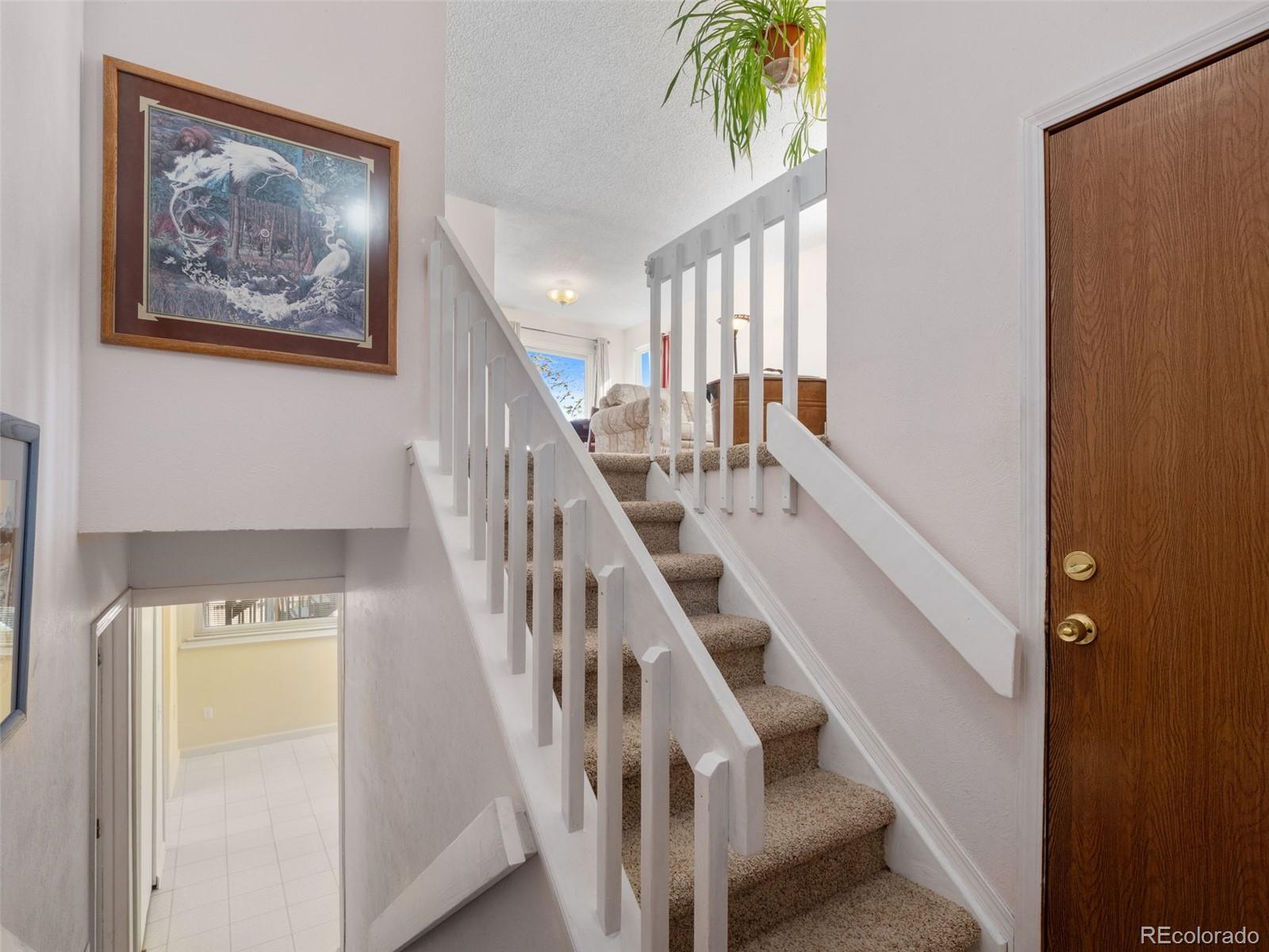 3702 S Halifax Street