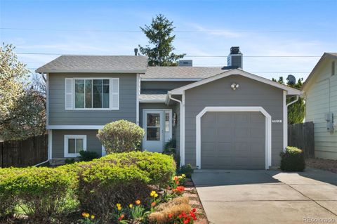 3702 S Halifax Street Aurora CO 80013