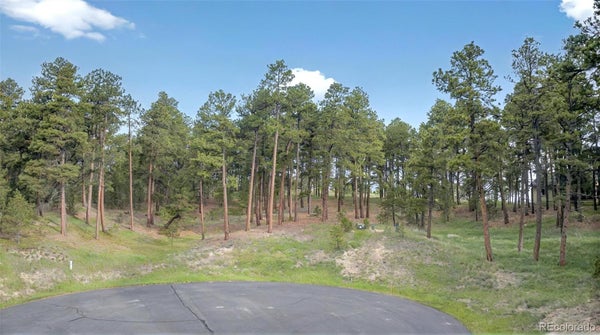 3930 SERENITY PL, COLORADO SPRINGS, CO 80908 - Image dcdacfe6c3687fd38b2784d91bbd2592/314436562