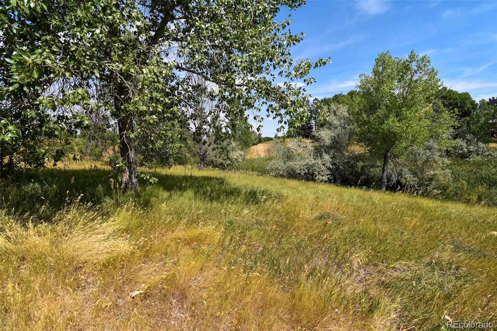 2345 Ranch Drive