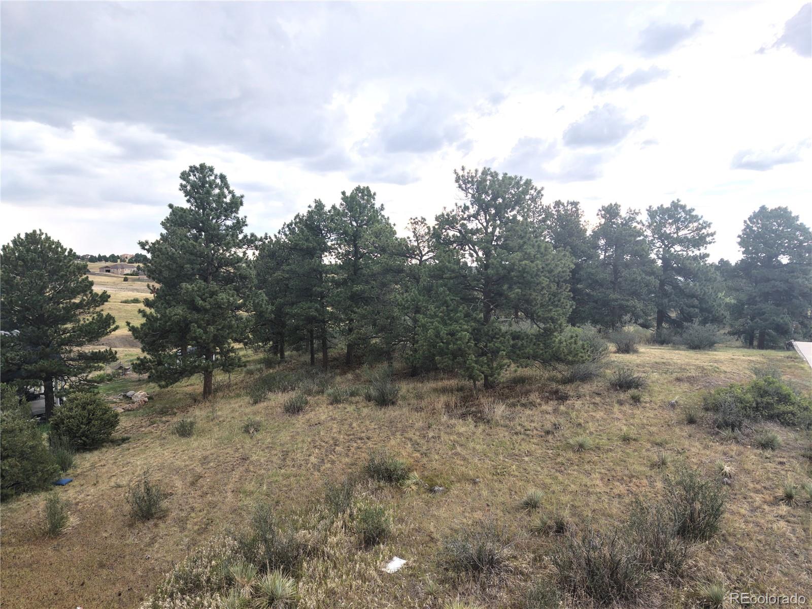 46341 Needleleaf Lane, Parker, CO, 80138 46341 Needleleaf Lane