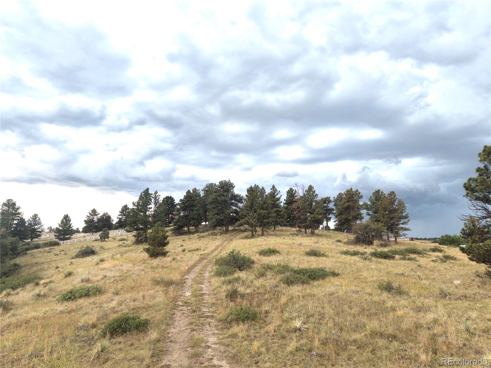 46341 Needleleaf Lane, Parker, CO, 80138 46341 Needleleaf Lane
