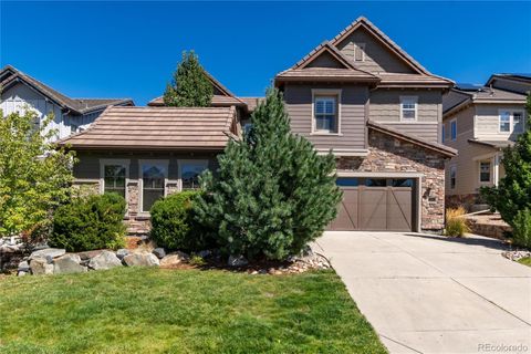 10640 Star Thistle Court Highlands Ranch CO 80126