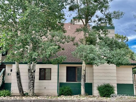 Condominium in Estes Park CO 1010 Saint Vrain Avenue.jpg