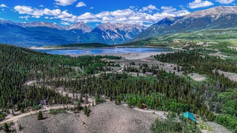1385 County Road 24 Twin Lakes CO 81251