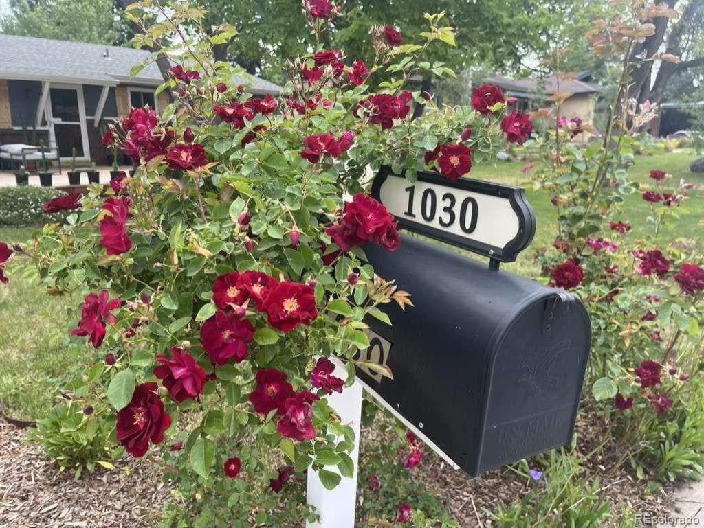 Photo of 1030 Yank Street, Golden, CO 80401 (MLS # 1601757)
