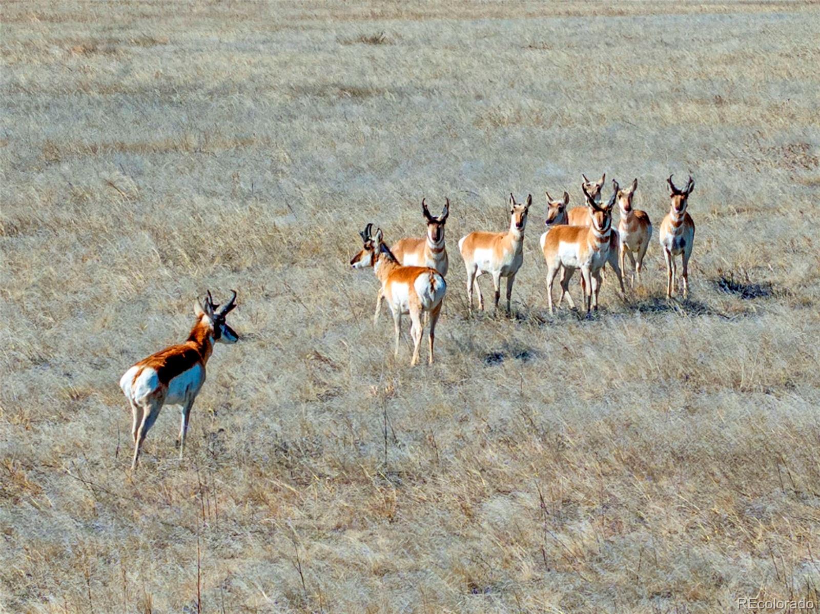 Parcel 3 S County Road 185