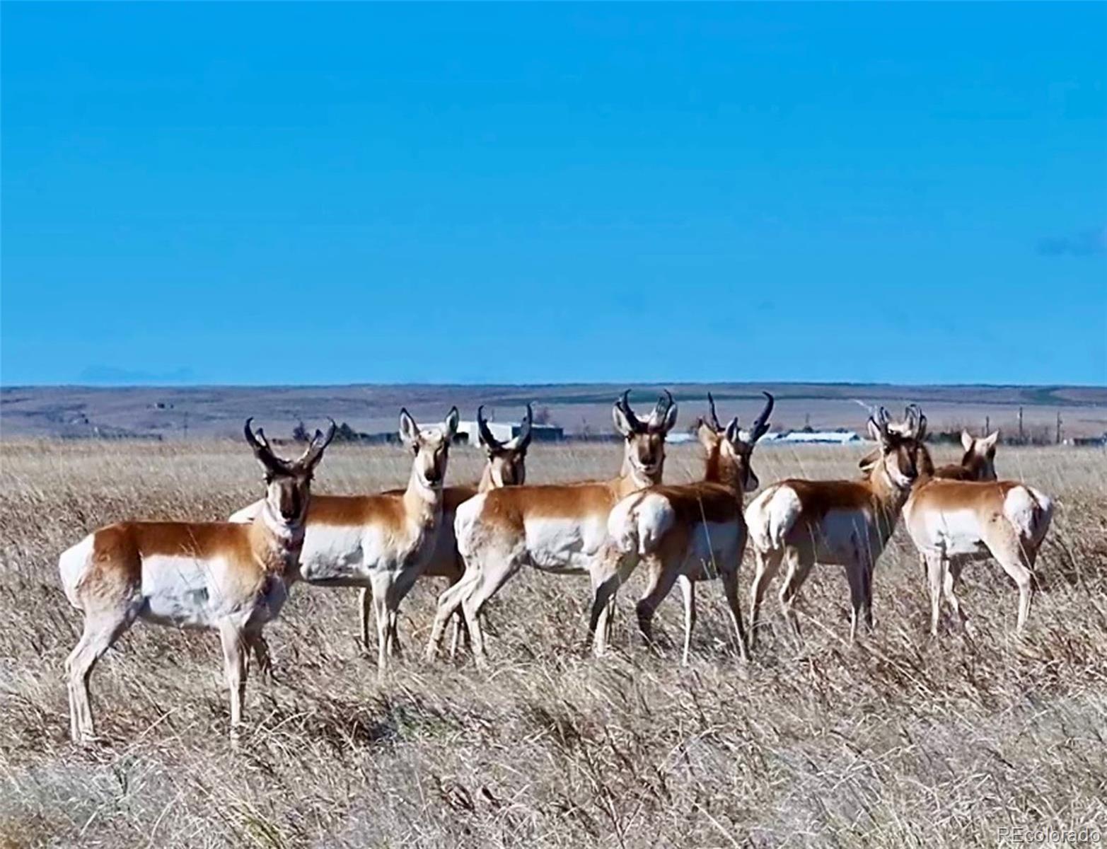 Parcel 3 S County Road 185