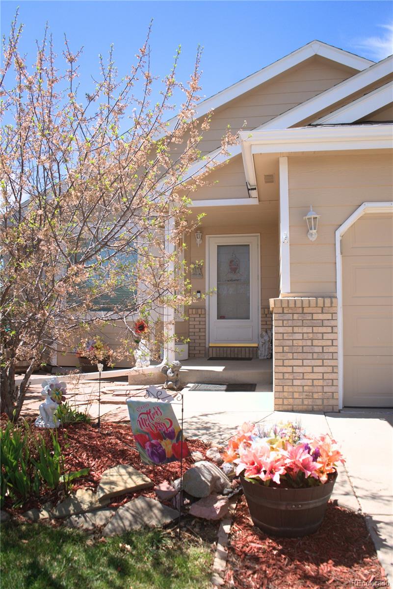 3423 Windmill Court