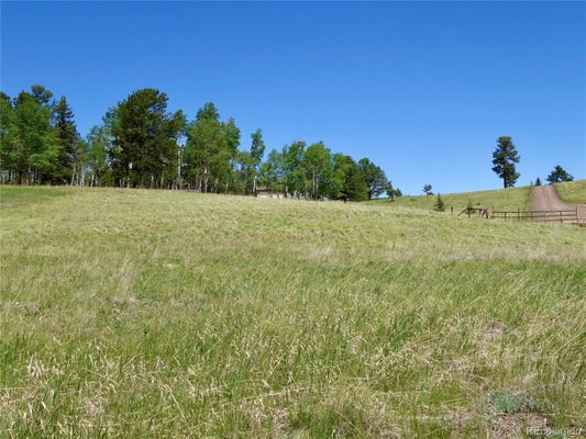 307 PINACEAE HTS, DIVIDE, CO 80814 - Image ddeb31eb5b5fe7896ff3ce7deb1b91c7/4238345937