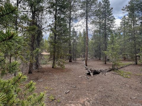 284 Fir Drive Twin Lakes CO 80461