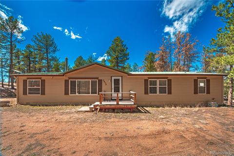 2675 Pikes Peak Drive Florissant CO 80816