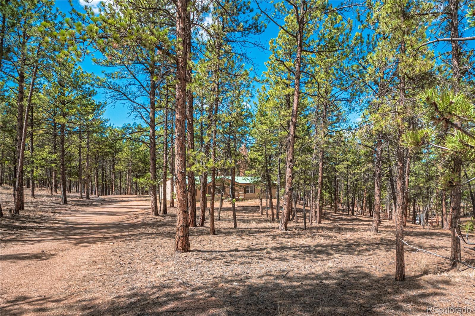 2675 Pikes Peak Drive