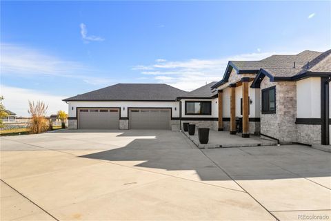 29050 E 167th ave Brighton CO 80603