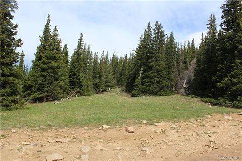 Group 14 Lamartine Road Idaho Springs CO 80452