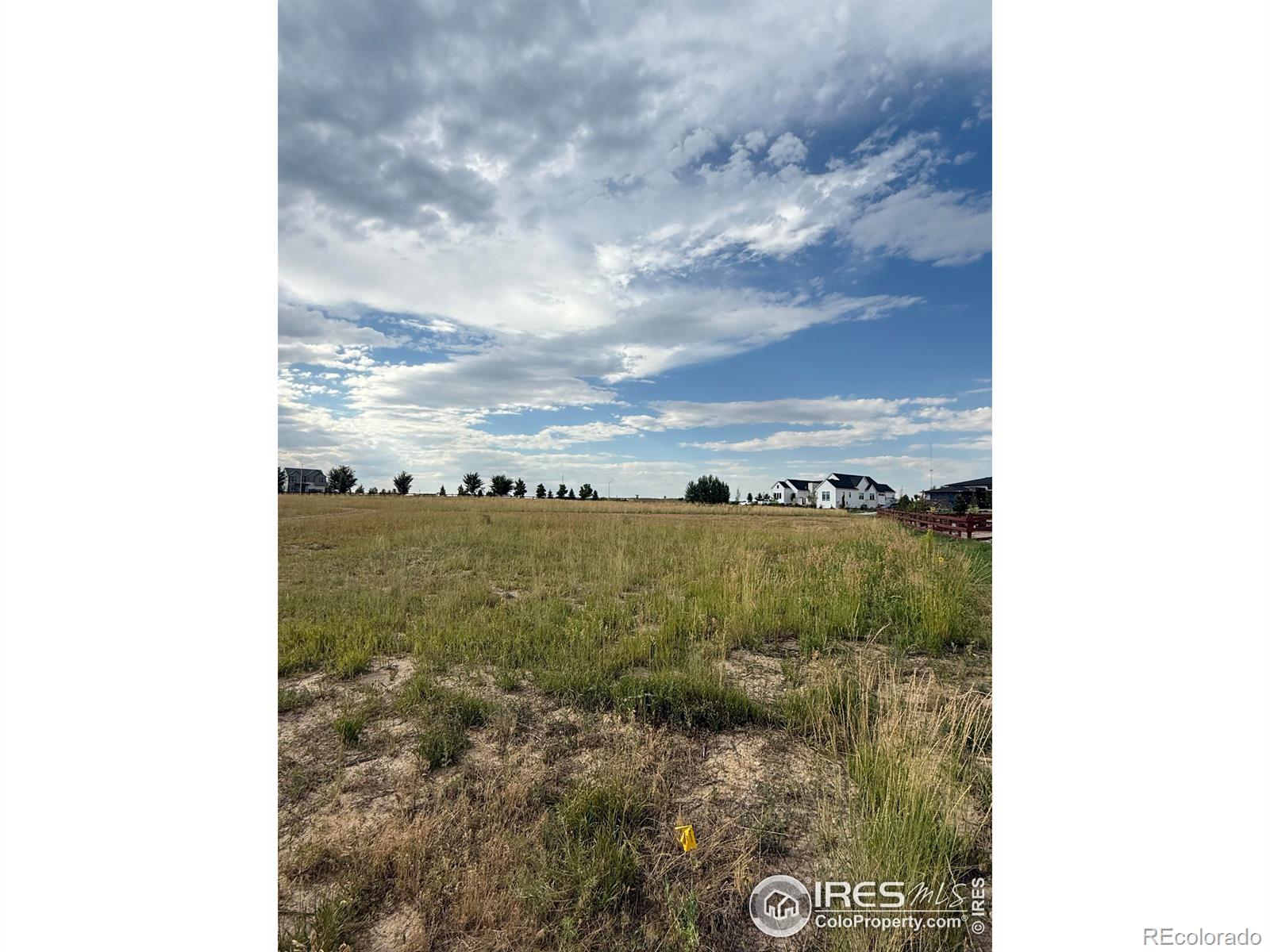 1508 Flowering Tree Court