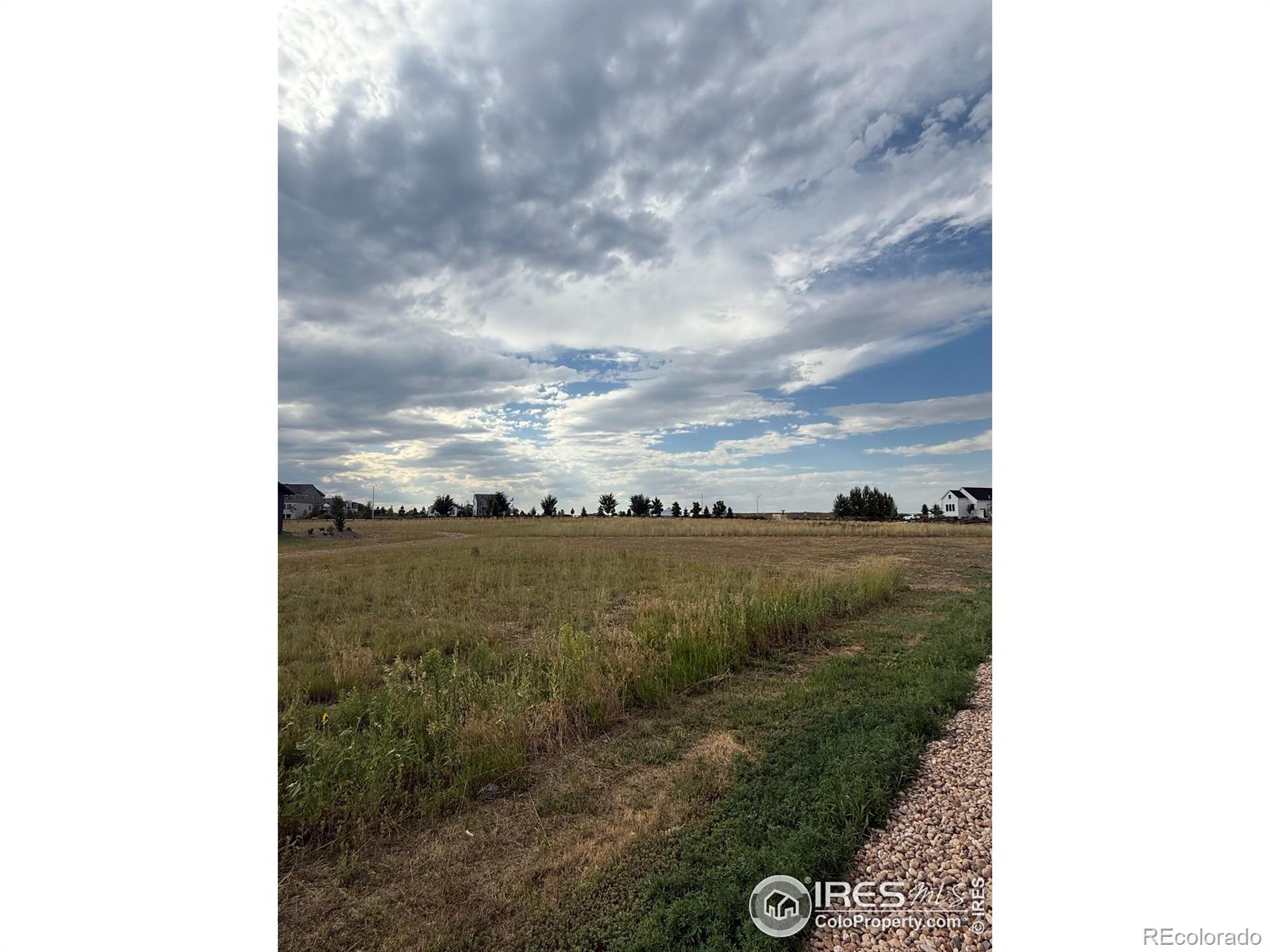 1508 Flowering Tree Court