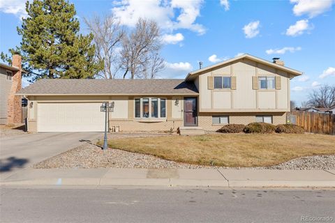 Photo of 515 Mahonia Place, Loveland, CO 80538 (MLS # 6028430)