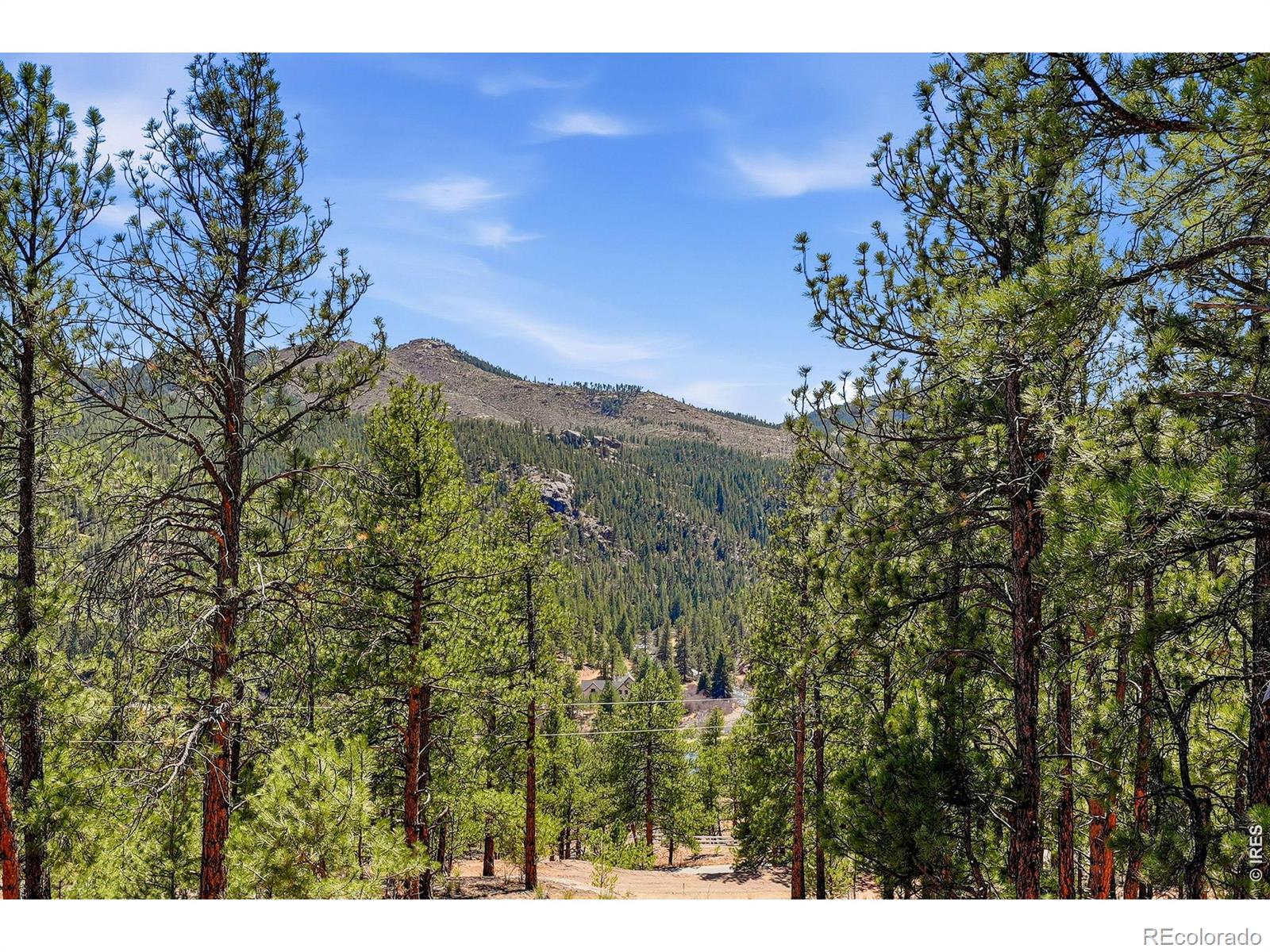 16687 Ouray Road W