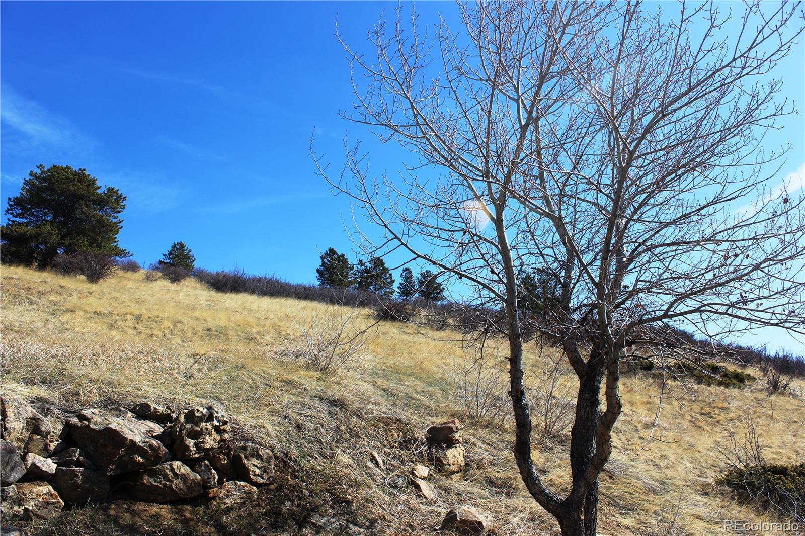 Lot 11 E Seventh Street