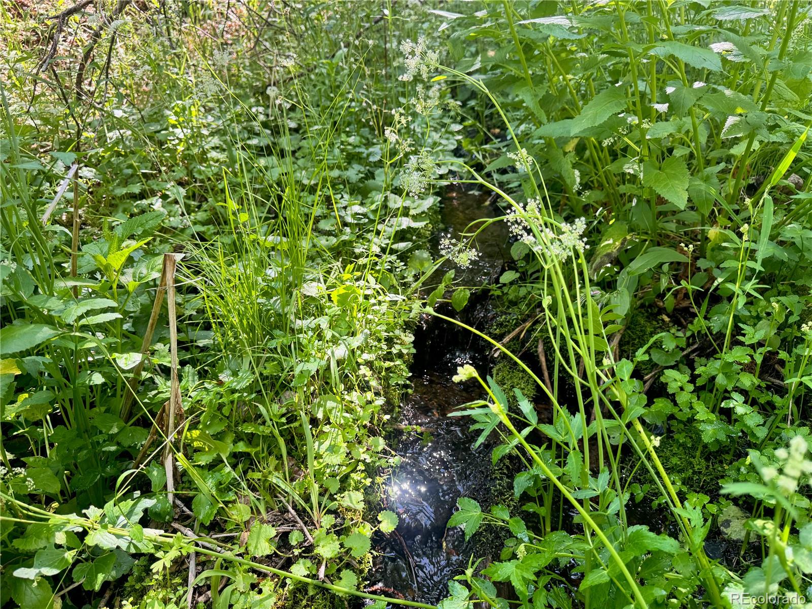 Lot 5163 Slegers Road