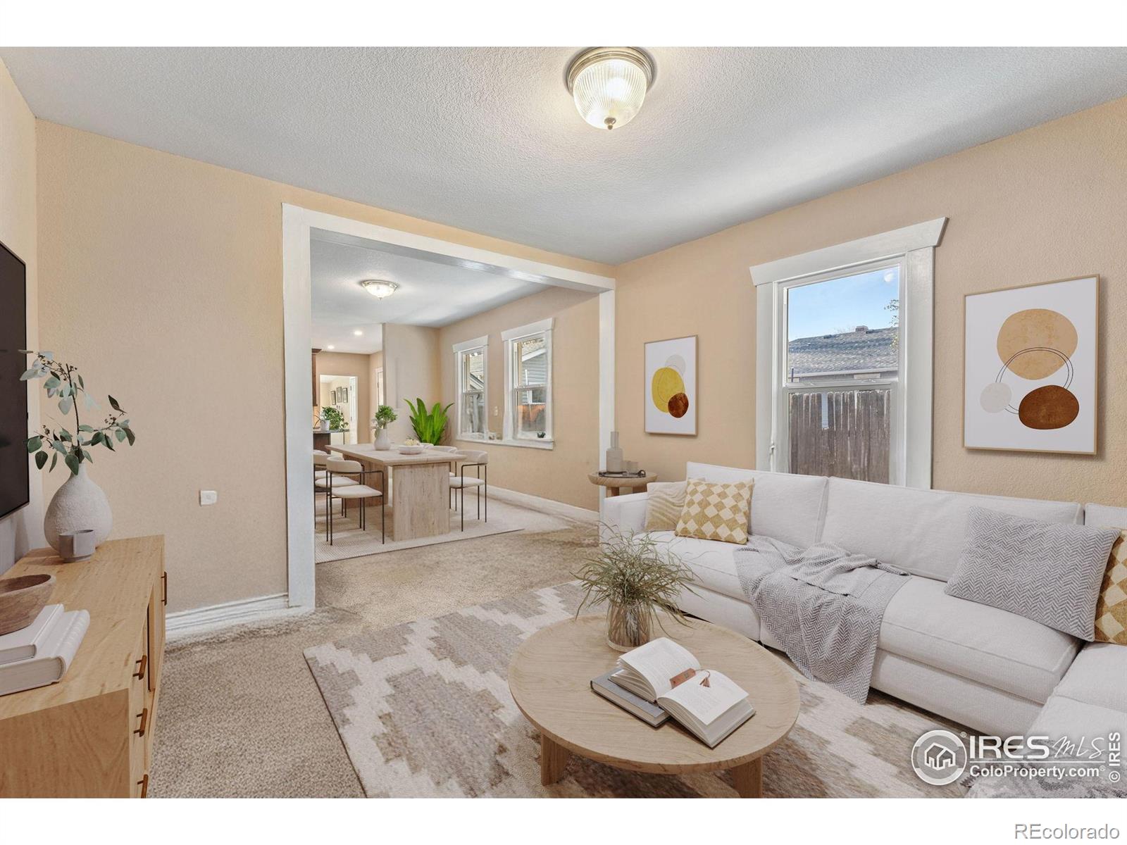 6058 S Hill Street, Littleton, CO, 80120 3 6058 S Hill Street