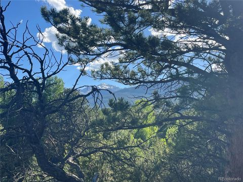 33077 US Highway 24 Buena Vista CO 81211