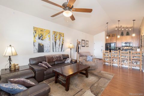 162 Village Road G302 Granby CO 80446