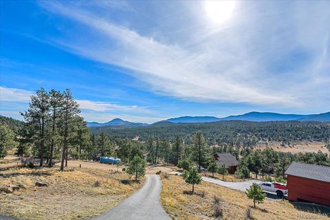Photo of 147 Overlook Drive, Bailey, CO 80421 (MLS # 6196716)