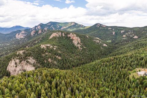 000 Pike View Drive Conifer CO 80433