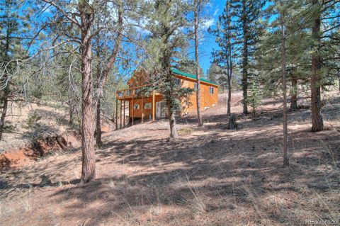11845 S Stallion Drive Pine CO 80470