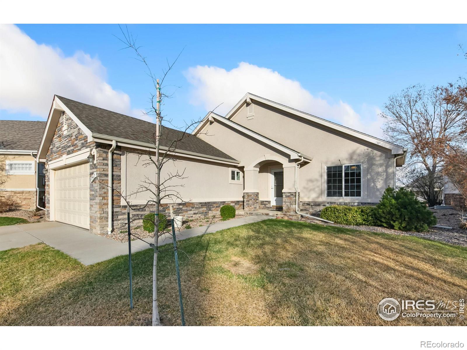 7747 Promontory Drive, Windsor, CO, 80528 3 7747 Promontory Drive