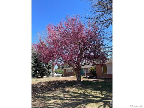 5860 Wood Sorrel Drive Littleton CO 80123