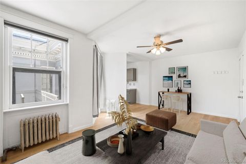 215 E 11th Avenue D5 Denver CO 80203