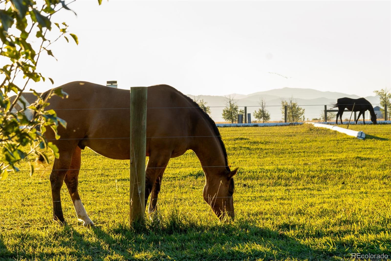 7755 Valleyview Circle