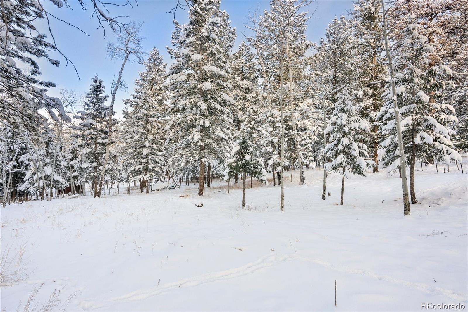 252 Beaver Trail