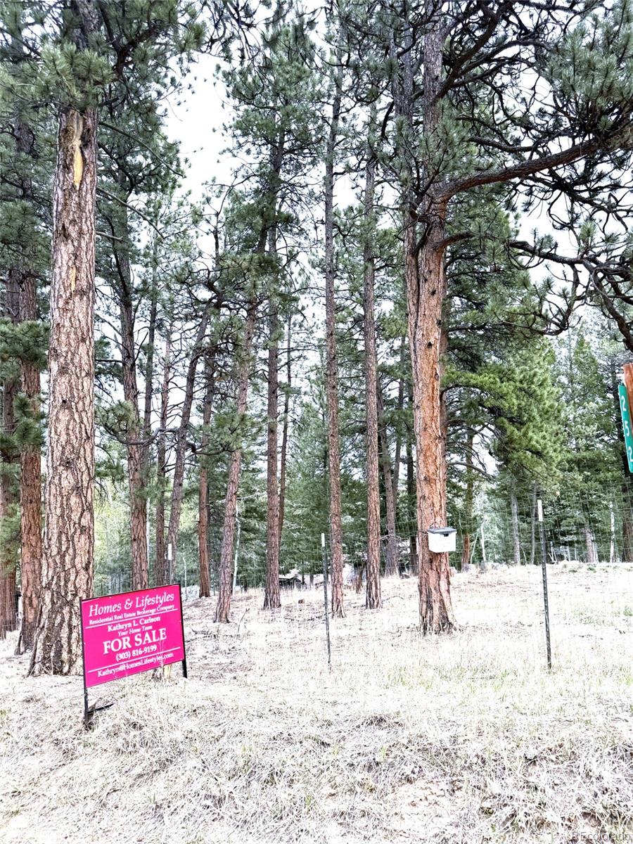 252 Beaver Trail