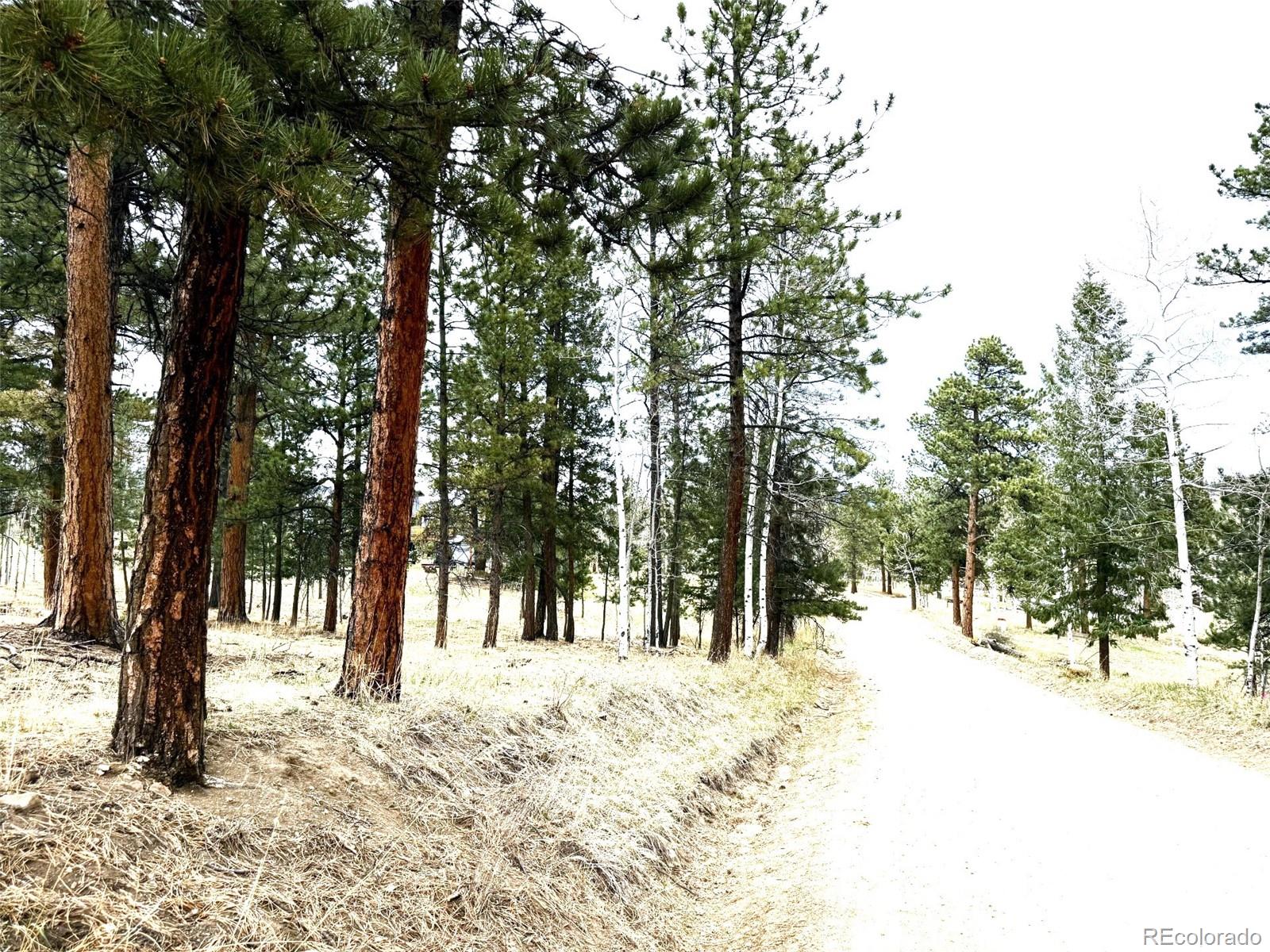 252 Beaver Trail