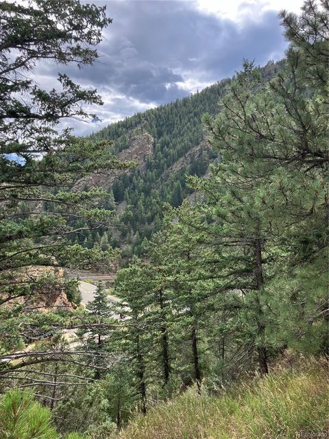 CR 314 Frontage Road Idaho Springs CO 80452