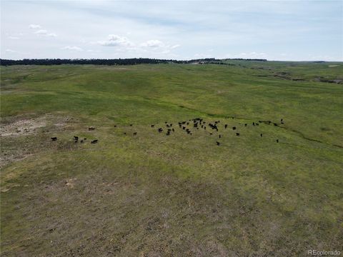 Lot 8 County Road 77 Calhan CO 80808