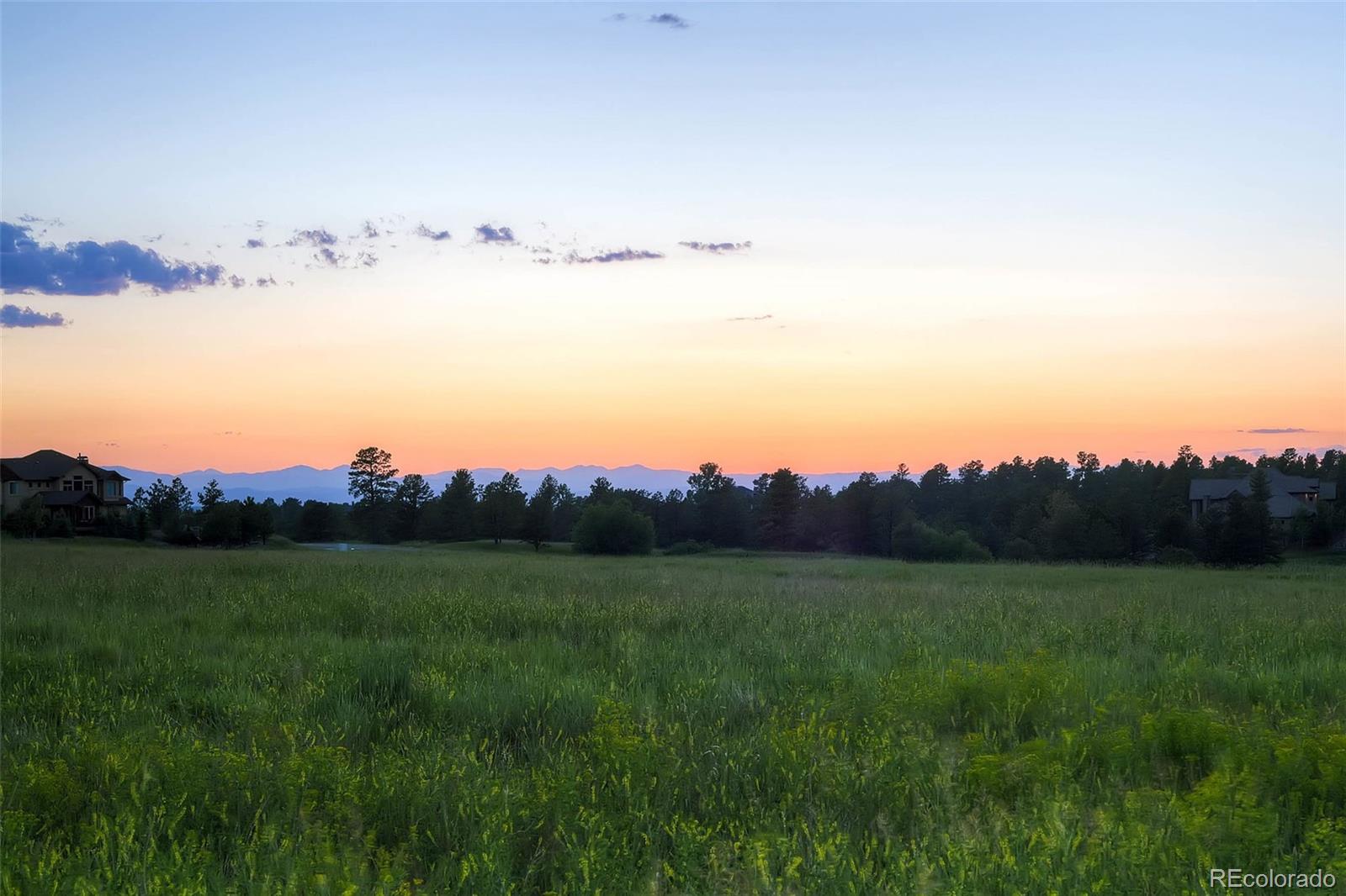 9728 Majestic Oak Drive, Parker, CO, 80134 9728 Majestic Oak Drive