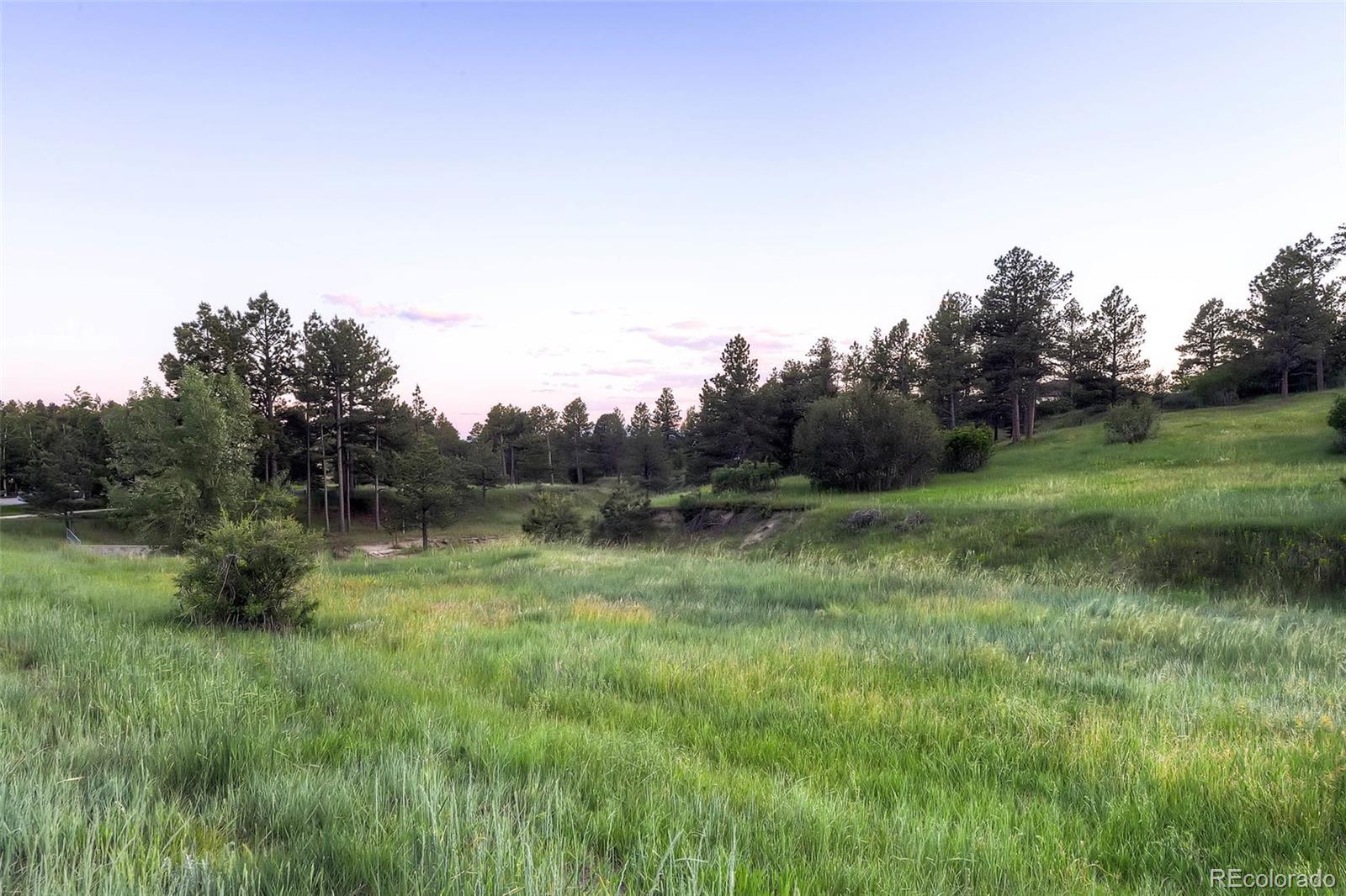 9728 Majestic Oak Drive, Parker, CO, 80134 9728 Majestic Oak Drive